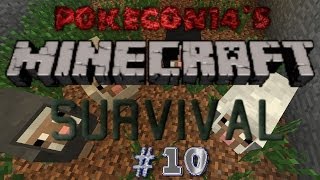 Minecraft Survival: Episode 10: Rainbow Sheep Farming!