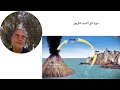 و ج ع ل ل ك م م ن ال ج ب ال أ ك ن ان ا النحل من الآية 81 و ج ع ل ل ك م م ن ال ج ب ال أ ك ن ان ا النحل من الآية 81