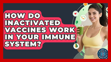 How Do Inactivated Vaccines Work In Your Immune System? - All About the Immune System
