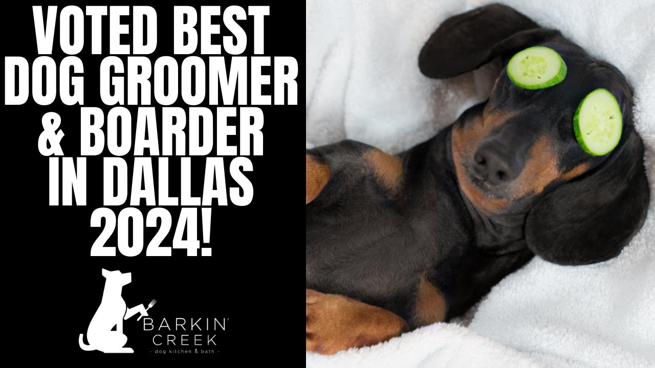 Best Dog Boarding, Grooming, Washing & Doggie Daycare Service in Dallas