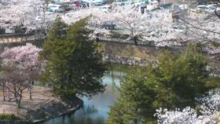 Download Lagu Hampa Ari lasso,yashiro-nagano MP3