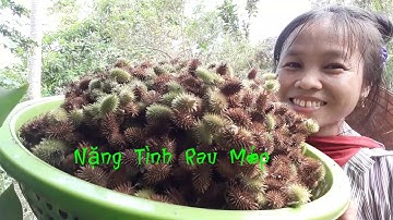 Ké đầu ngựa trị sỏi thận và bướu cổ