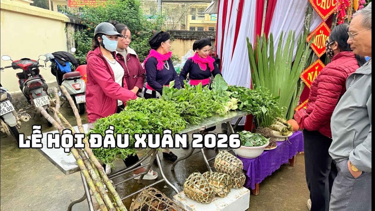 Lễ Hội Lồng Tông Bắc Quang 2026 | Không Khí Bùng Nổ Ngày Xuân