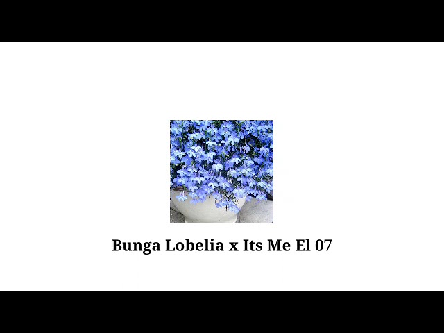 Bunga Lobelia x Its Me El 07 Vol 2 class=