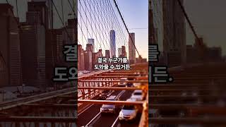 마음 튼튼 시리즈 – 1편 &quot;강해지려고 하지 말고, 단단해지렴&quot; #dsdearson #마음튼튼 #엄마의편지 #진짜강함 #내면의힘 #단단한마음 #감성쇼츠 #감동쇼츠 #감동영상 #힐링