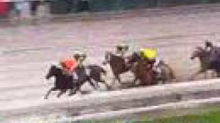 2007 Breeders' Cup Distaff