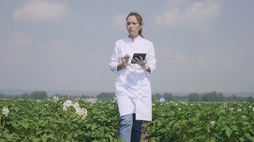 Offline Forms | Build Data Collection Apps with DronaHQ