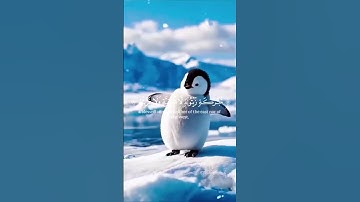 تلاوة مباركة بصوت عذب تهدأ لها القلوب وتطمئن النفوس، شارك الأجر بنشر الفيديو #قرآن #اكسبلور #تلاوة