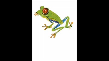 how I draw a frog on the moon, drawing a red eyed tree frog in Procreate. timelapse