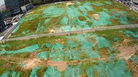 Hawkeye firefly x Lite fpv cam truly records all kinds of flying patterns of racing drone