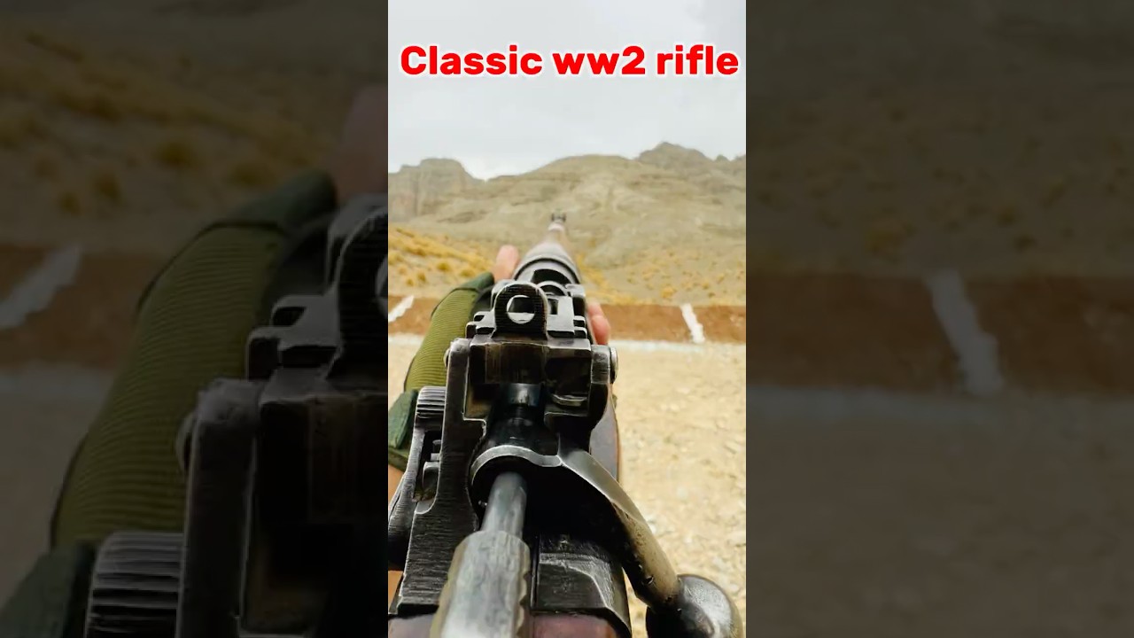 Lee Enfield Epic Target Shooting Accuracy Test 🎯