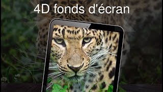 4D fonds d'écran 4k 4D fonds d'écran 4k