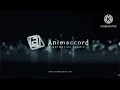 Animaccord Animation Studio Logo FIXED 2 