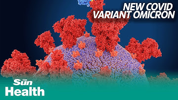 What is the new covid 19 variant Omicron