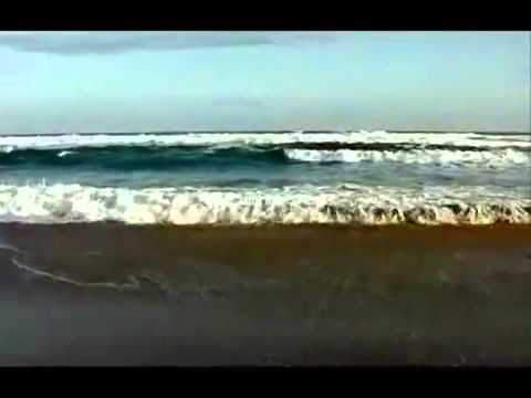 عبد الحليم حافظ في يوم في شهر