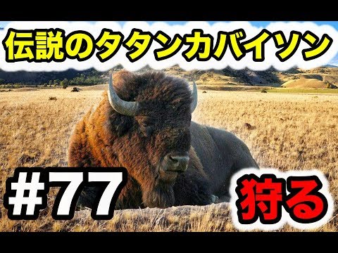 実況 レッドデッドリデンプション2 Part 77 伝説のタタンカバイソンを狩りに行った Youtube