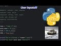 How to handle inputs in Python