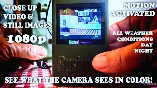 Closest Focusing Trail Camera Review and Demonstration CLOSE UP motion animal activated.