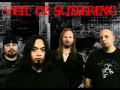 Veil of Suffering - 