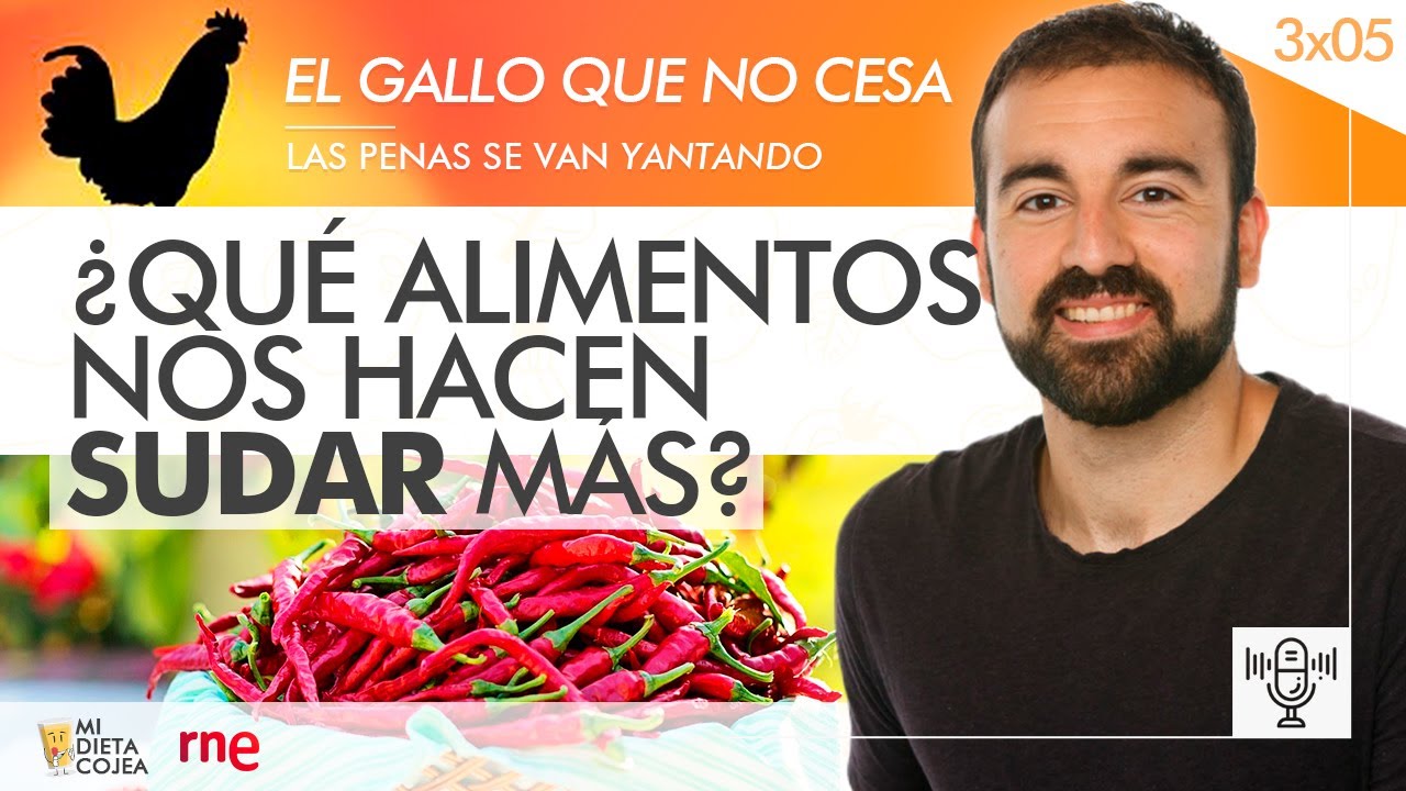 ¿Qué alimentos nos hacen sudar más? (RNE) - Programa 3x05