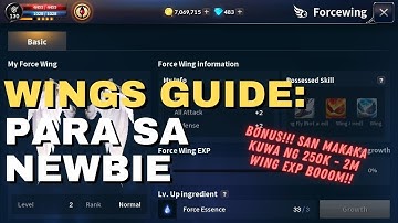 CABAL MOBILE WINGS TIPS & GUIDE! WHERE TO GET 250k - 2m wings exp