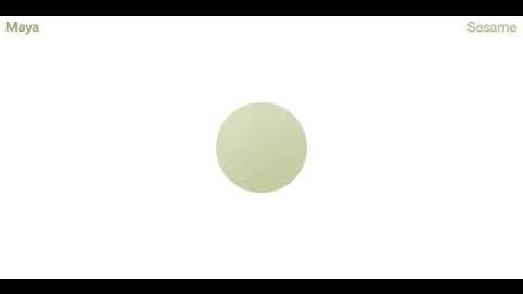 Trying out Maya - The Sesame AI voice agent (demo)