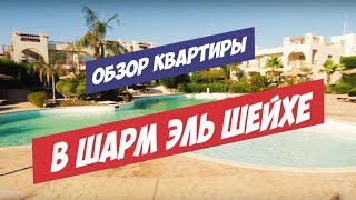 ЕГИПЕТ - ШАРМ ЭЛЬ ШЕЙХ - КВАРТИРА В АРЕНДУ, ЦЕНЫ В МАГАЗИНЕ! Полный обзор! видео аренда чартера