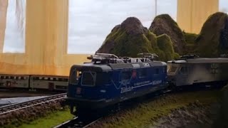 Roco Und Lima Komps Mit Märklin Loks