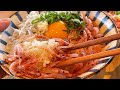 【静岡県 桜エビとシラス丼】駿河湾の恵みで贅沢すぎる朝ご飯［魚屋がレビュー］