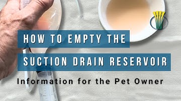 How to Empty the Suction Drain Reservoir - Information for the Pet Owner