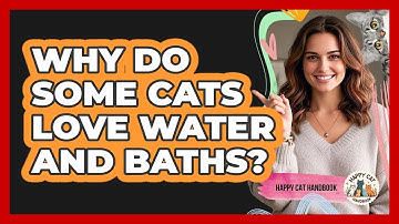 Why Do Some Cats Love Water And Baths? - Happy Cat Handbook