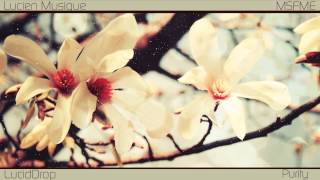 Chill I LucienMusique & LucidDrop - Purity