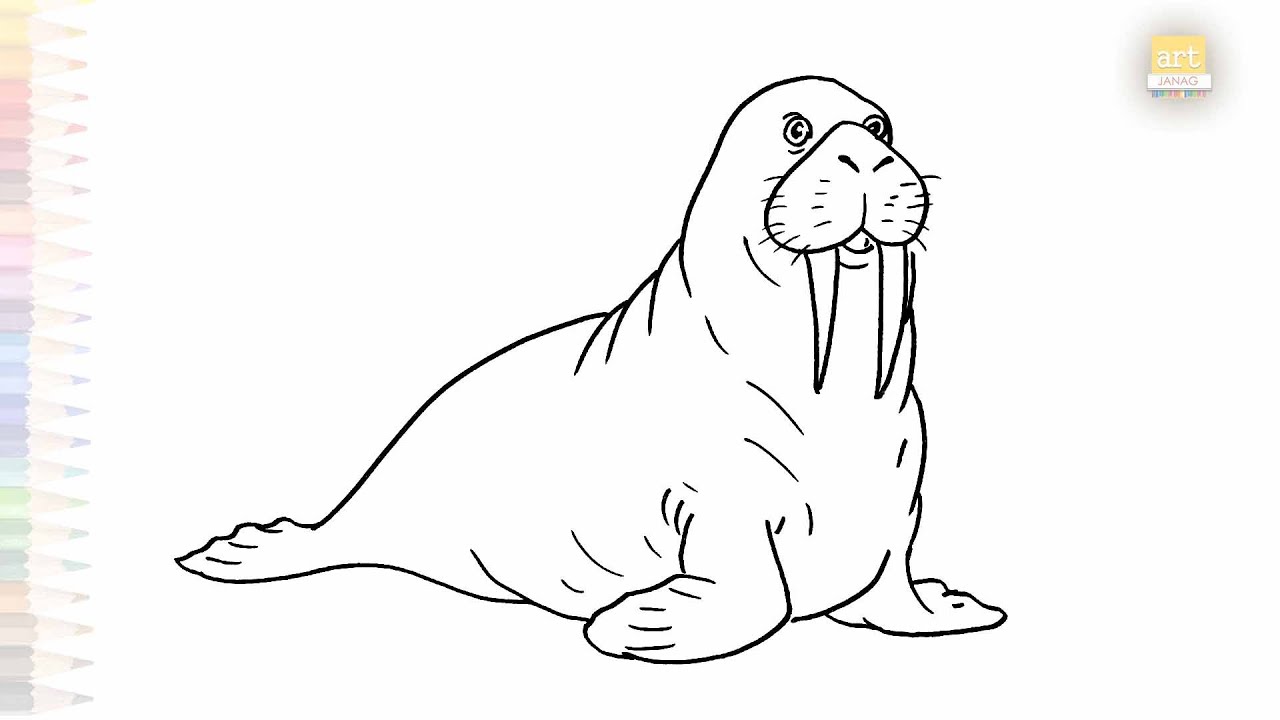 Walrus easy drawing | Art tutorial | How to draw A Walrus  step by step | 