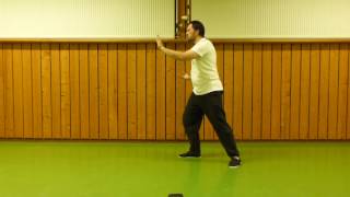 16 Er Handform Yang Stil