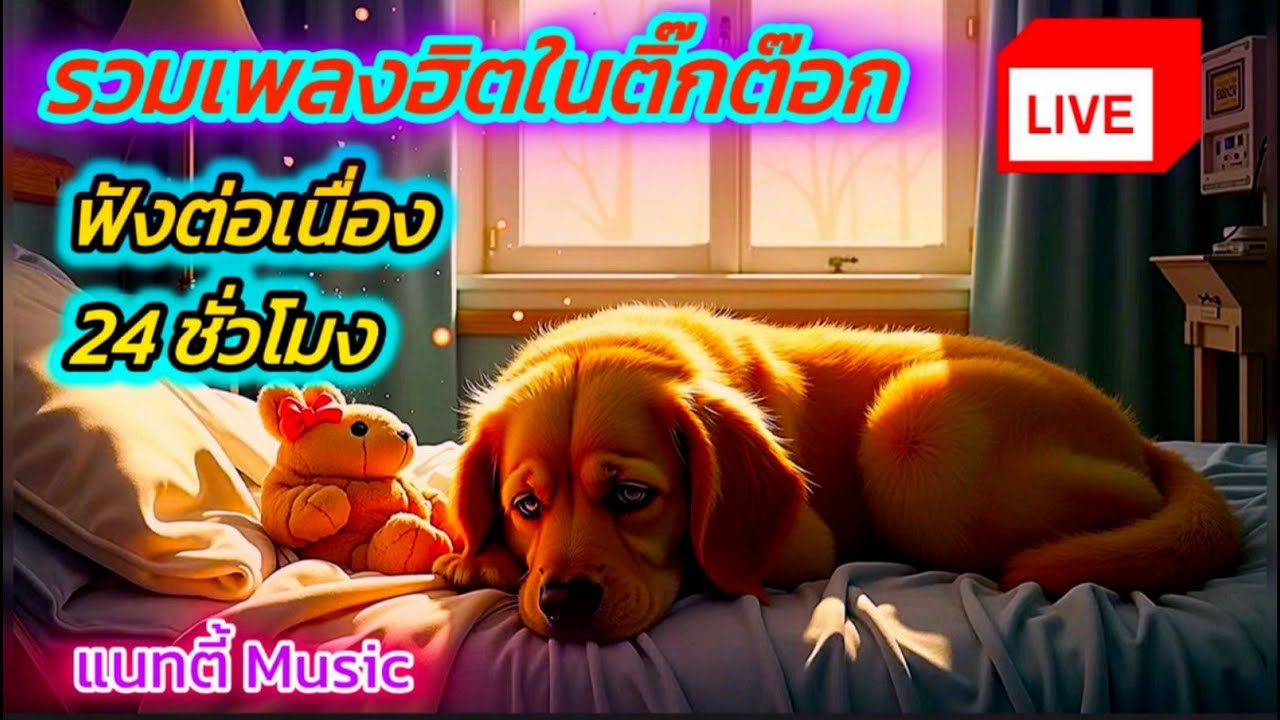 🔴LIVE สด เพลงในติ๊กต๊อก ฟังเพลงออนไลน์ต่อเนื่อง เพลงใหม่เพราะๆ