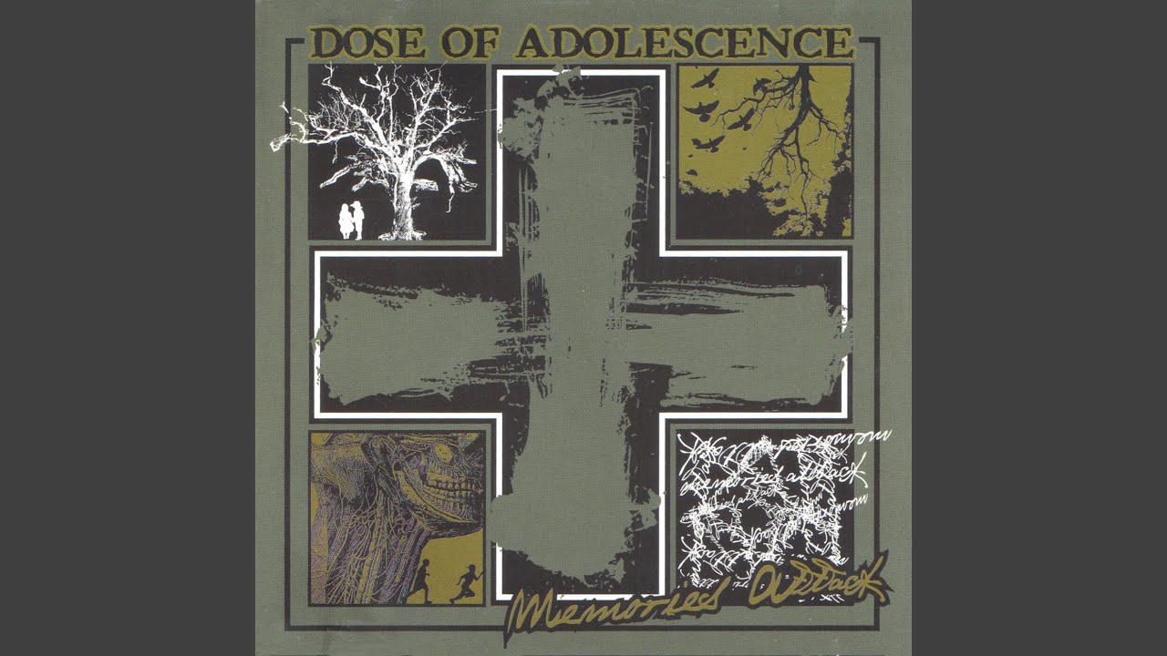 Fall Into This adlı videoyu YouTube'da izle Fall Into This adlı videoyu YouTube'da izle