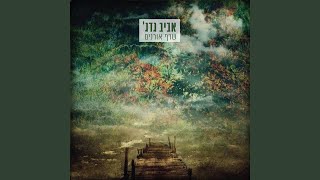 Video thumbnail of "אביב גדג' - מעין"