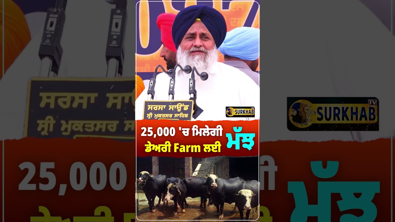 ⁣Sukhbir Singh badal ਦਾ ਐਲਾਨ ..Dairy Farm ਲਈ ਮਿਲੇਗੀ ਖਾਸ ਸਹੂਲਤ ..