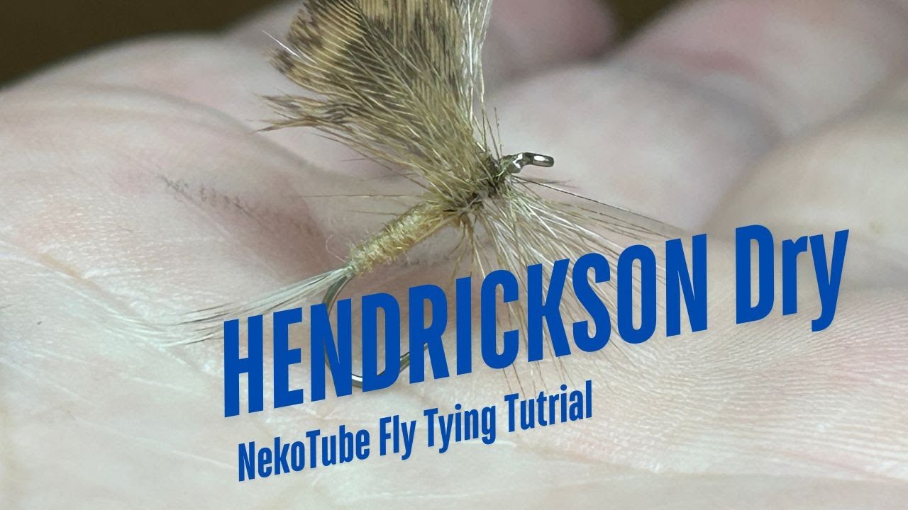 Hendrickson dry #12