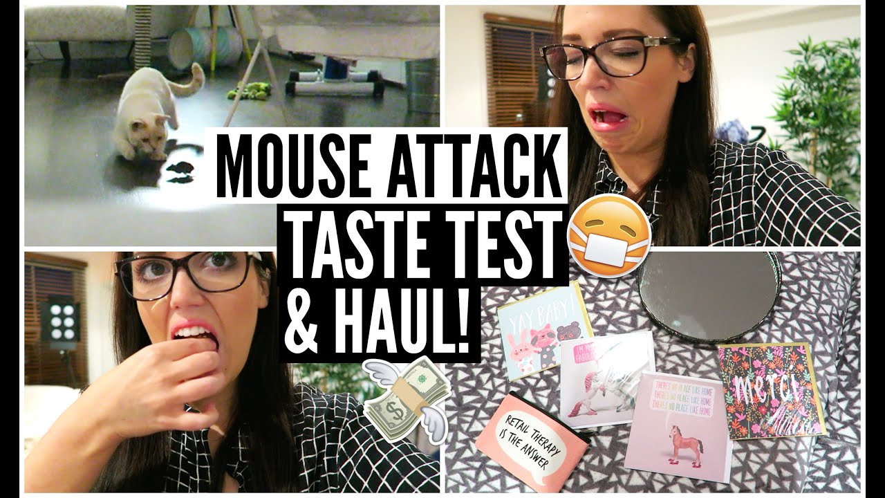 MOUSE ATTACK, Taste Test & Haul!
