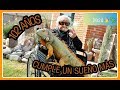 ABUELITA IGUANERA,  Feliz año nuevo 2020!!! (Vino a conocer y tocar las iguanas 👵🦎).