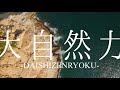大自然力 / ペクちんfeat.初音ミク