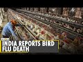 India reports this year's first human death from bird flu | AIIMS Chief: No need to panic |WION News