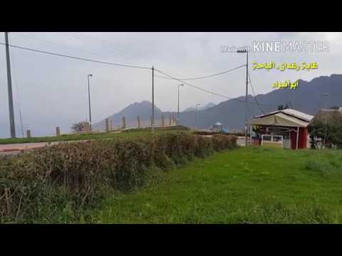 الباحة  غابة رغدان