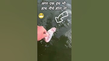 #shortvideo #shorts #short #shortsfeed #youtubeshorts #youtube #fyp #funny #fishing #fish