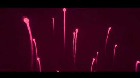 Hack call of mini zombies Download Both Files