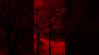 red wp ideas