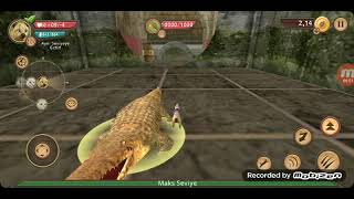 cat sim oynuyorum timsah yenmenin yolu screenshot 4