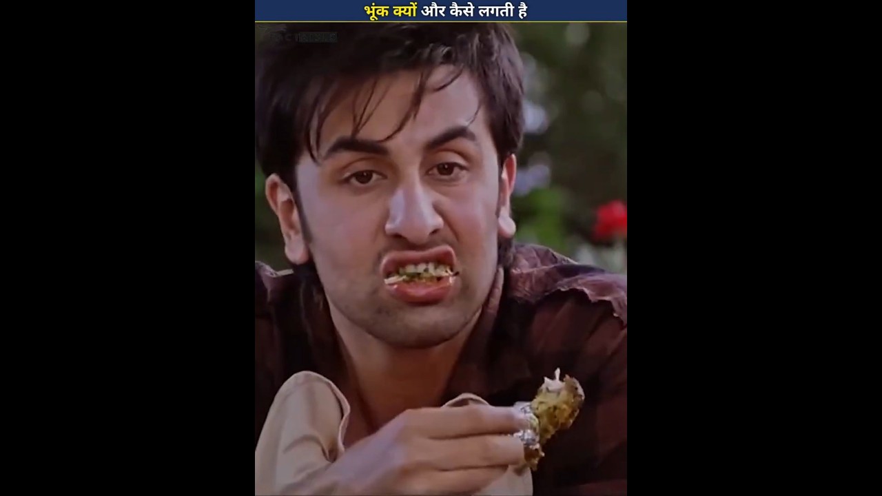 Why Do We Feel Hungry? The Hidden Science Explained 🤯