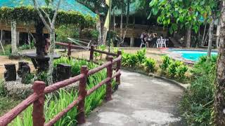 Oyster forest life resort 🦋